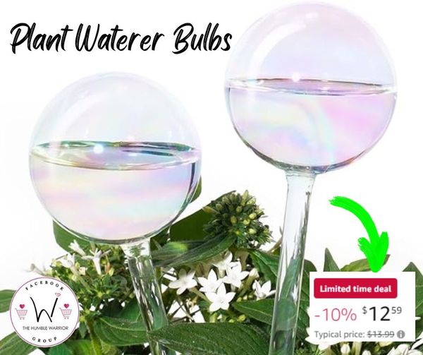 Light Iridescent Rainbow Gradient Color Clear Glass Self-Watering System Spikes