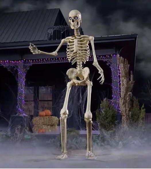 Home Depot Skeleton