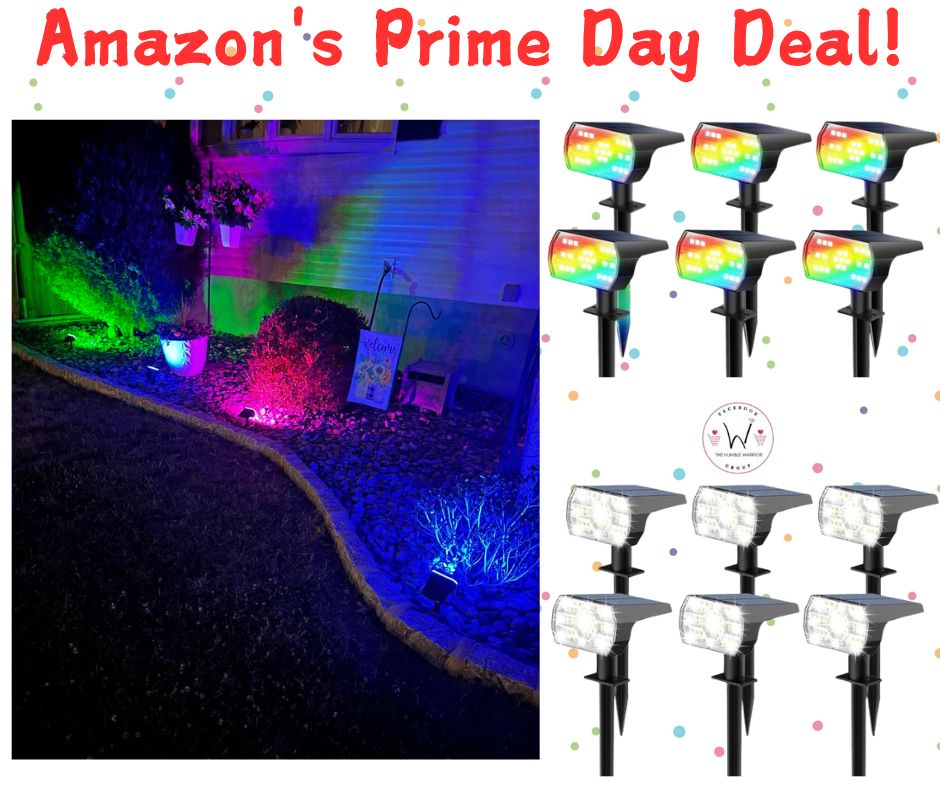 Solar lights!