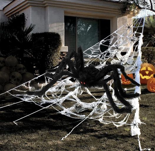 giant hairy spider for spooky season