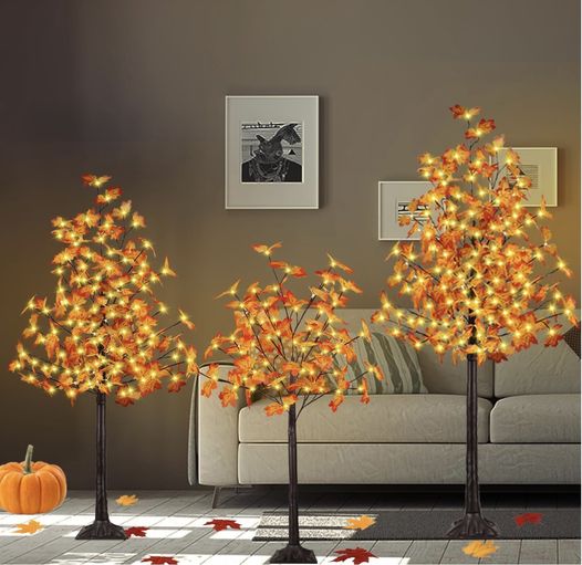 lighted Fall trees