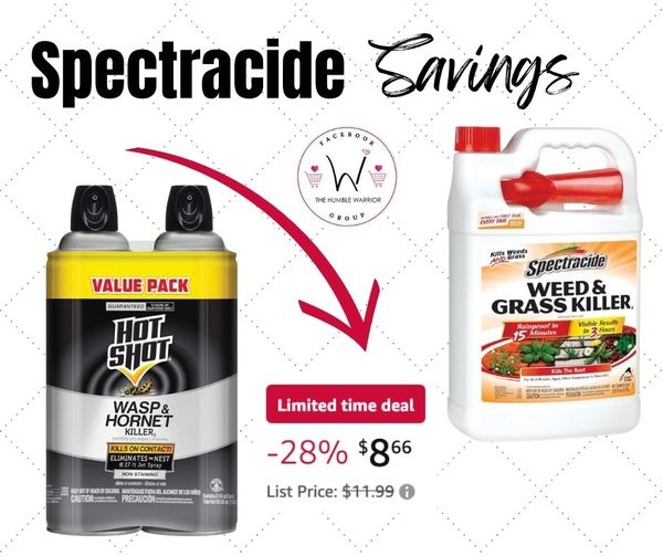 Hot Shot Wasp & Hornet Killer Spray