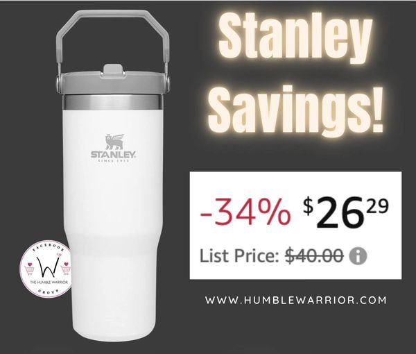 STANLEY IceFlow Stainless Steel Tumbler