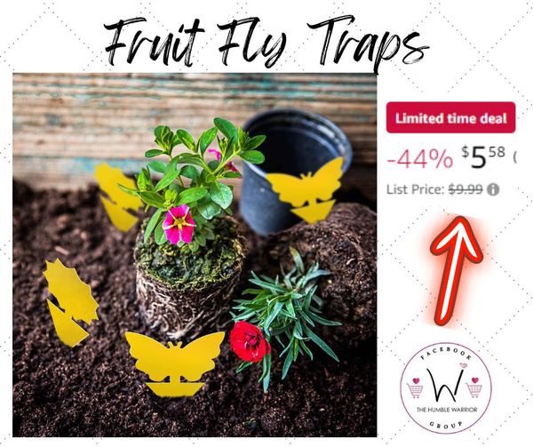 Fruit Fly Traps Gnat Traps Yellow Sticky Bug Traps
