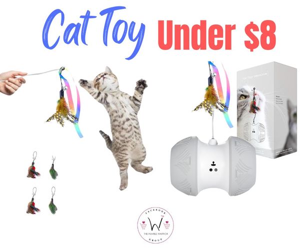 Cat Toy