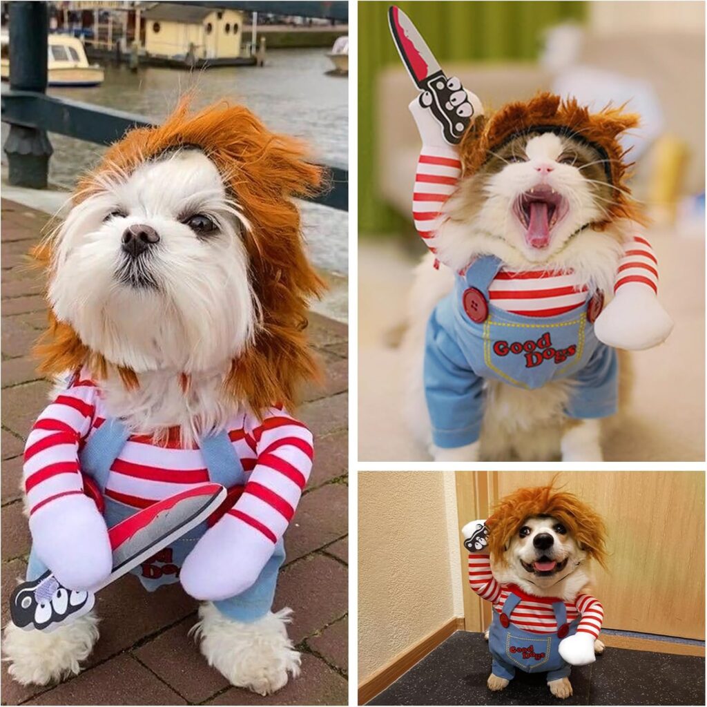 Pet Halloween Costume!