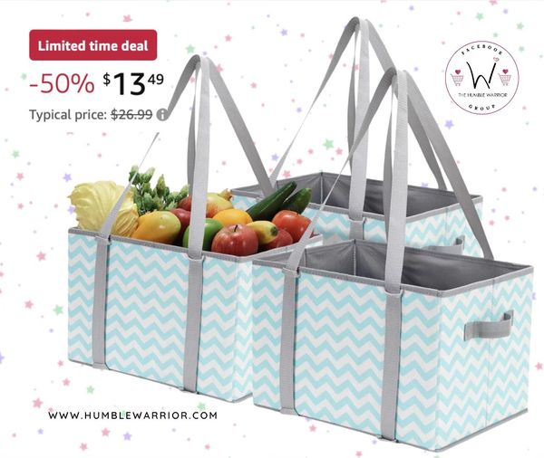 Storage Maniac grocery bags