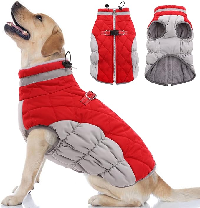 Winter Coats for your Fur Baby