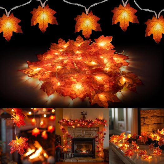 Two strings of lighted maple leaves