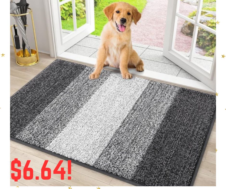 Smiry Grey 30×20 Dog Door Mat for Muddy Paws!