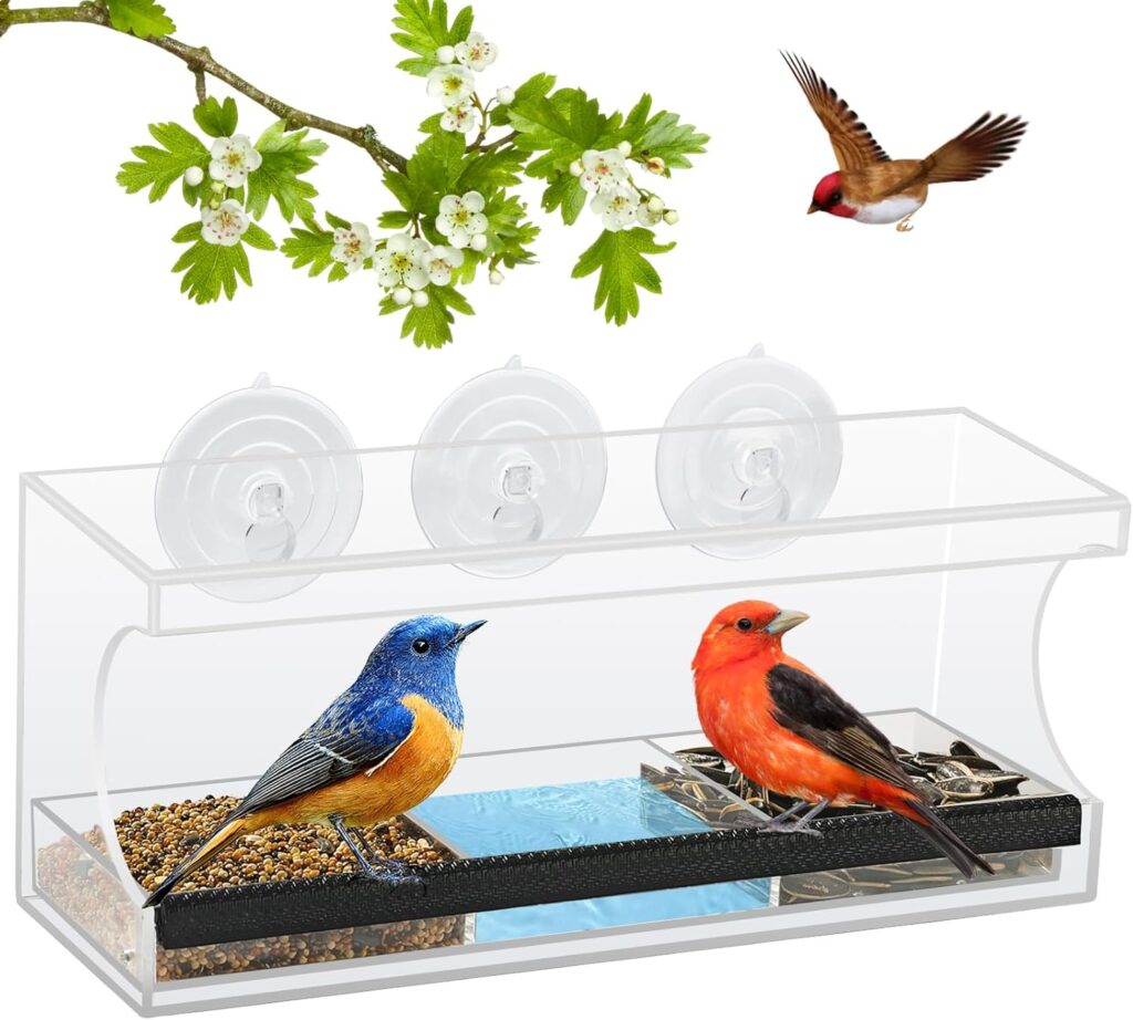 Window bird feeder