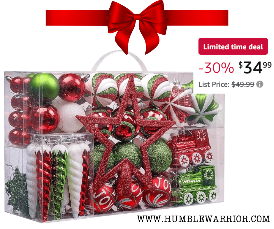 100 Piece Ornament Set