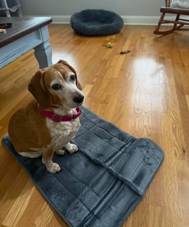 Arotive Memory Foam Bathroom Mat!
