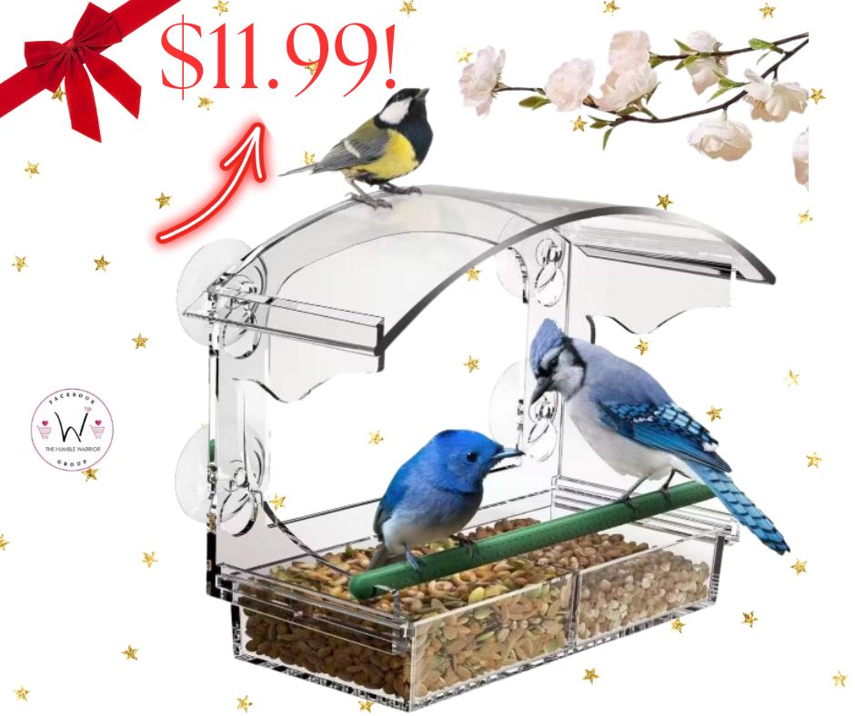Window Bird Feeder!