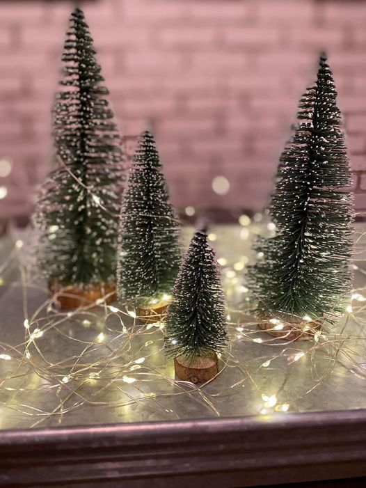 mini bottle brush trees