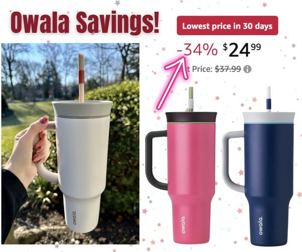 Owala Stainless Steel Triple Layer Insulated Travel Tumbler