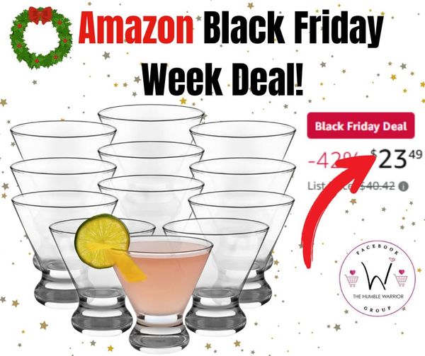 Libbey Cosmopolitan Stemless Martini Glasses Set