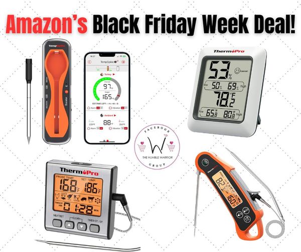 ThemoPro fast and accurate cooking thermometers