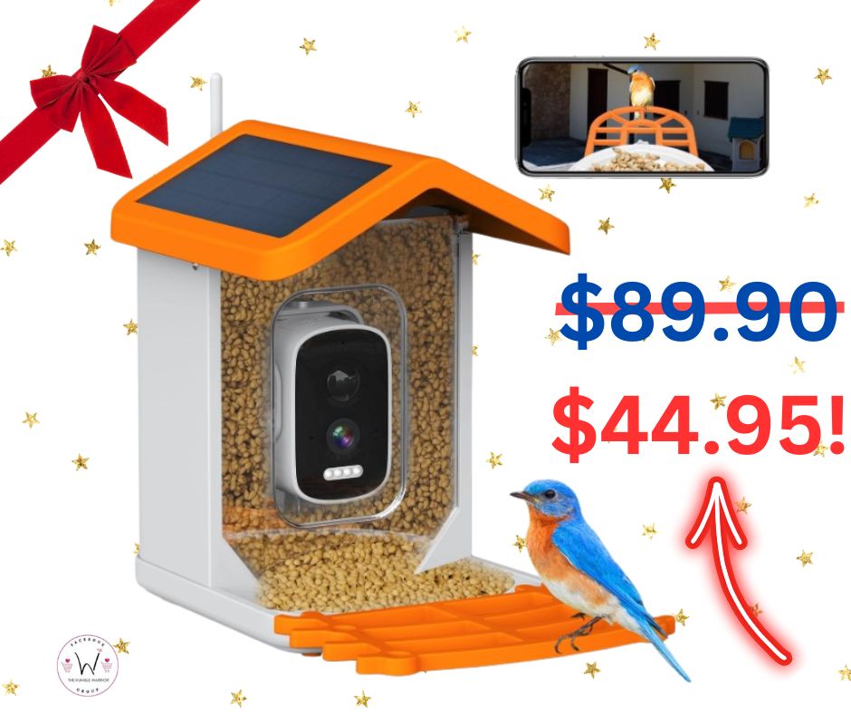 Smart Bird Feeder with Camera and Solar Panel!
