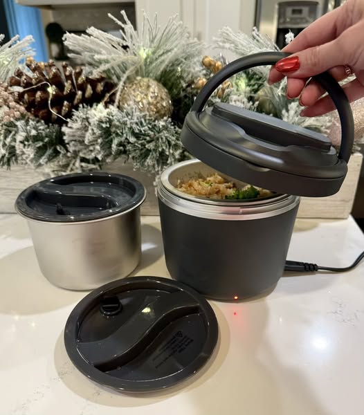 electric lunch box