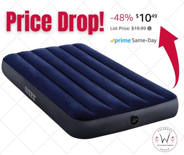 INTEX Twin Dura-Beam Standard Downy Air Mattress