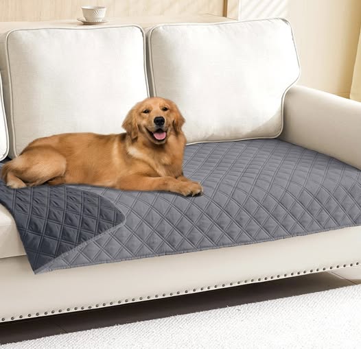 Waterproof Dog Blanket!