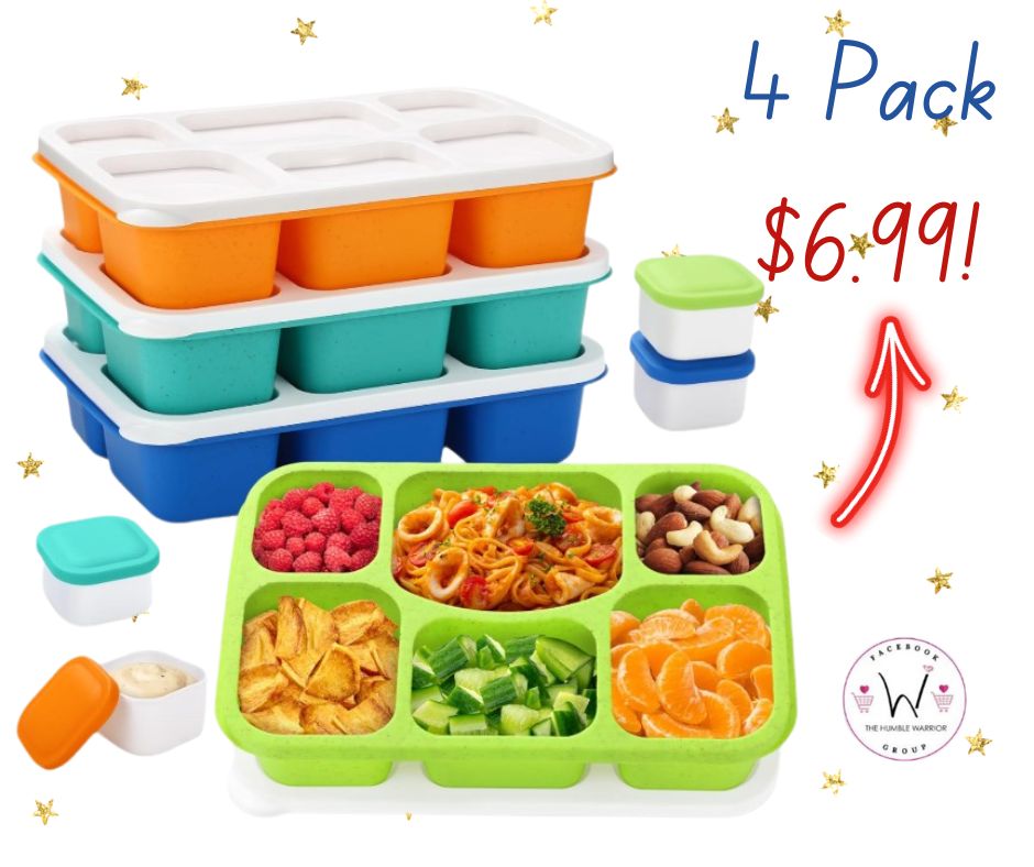 Bento Lunch Box for Kids and Adults!