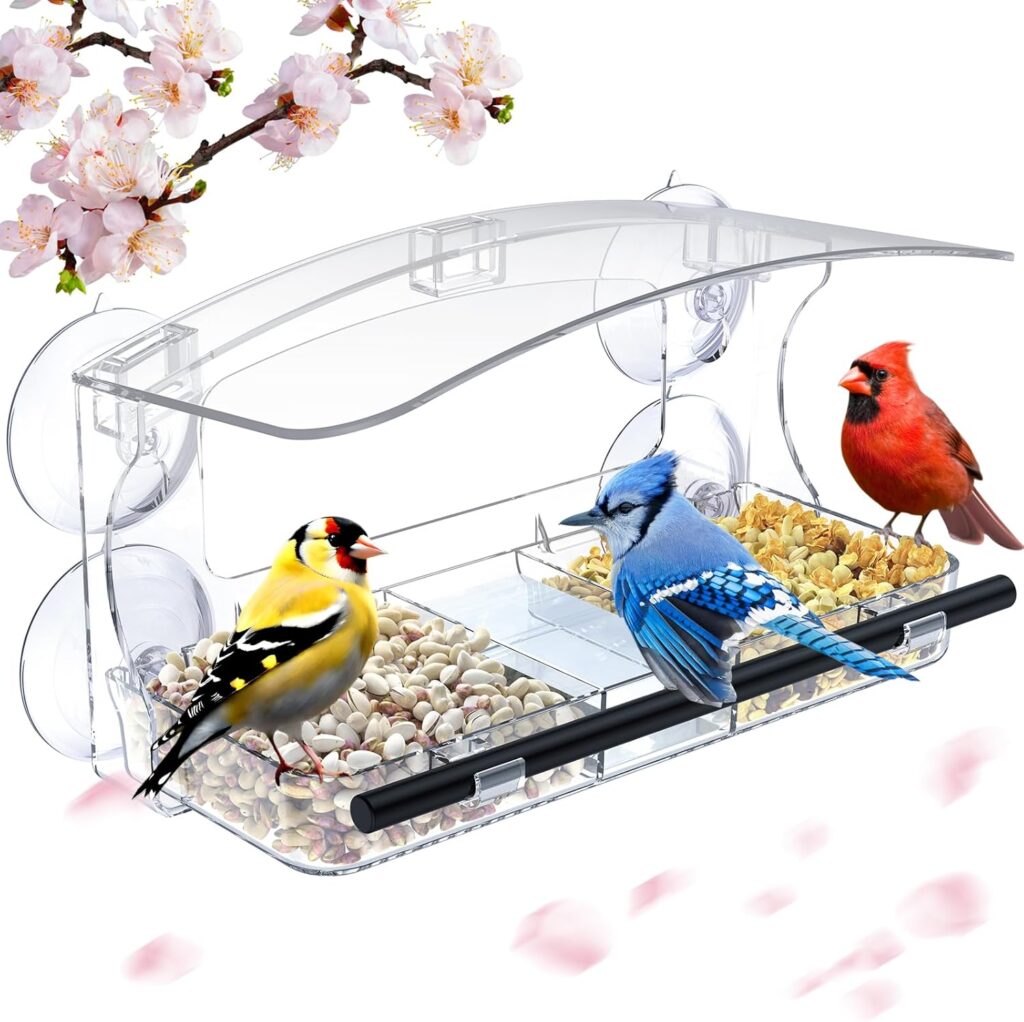 Window Bird Feeder!