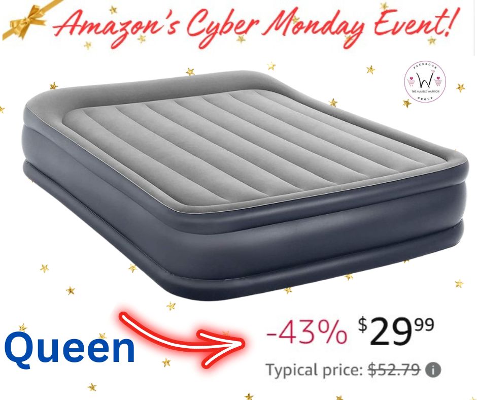 Air Mattress with Built-in Pump!