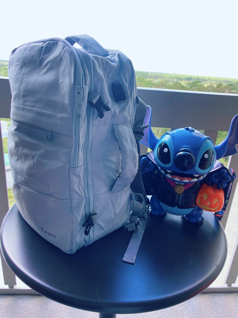 Taygeer Travel Backpack