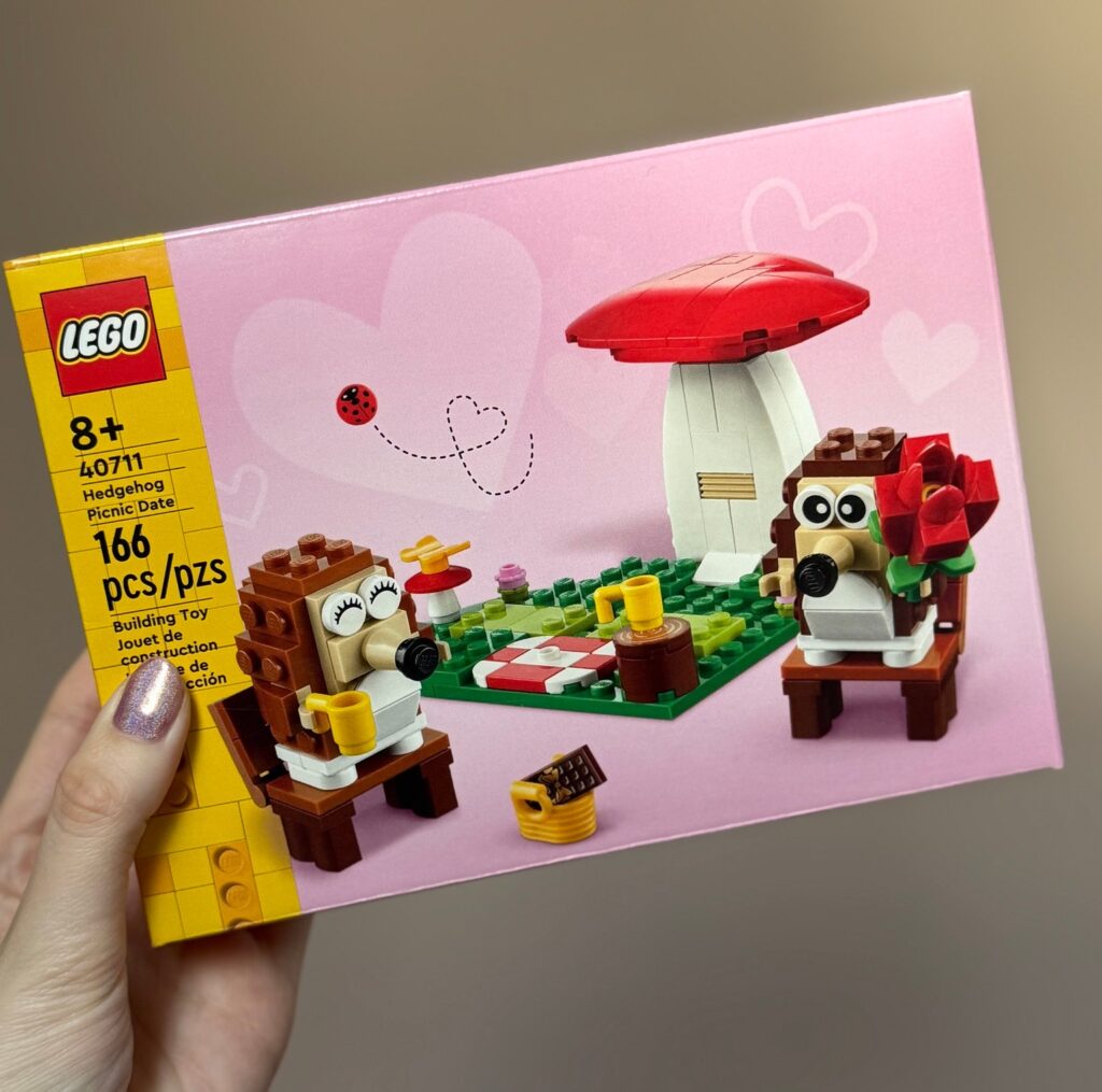 LEGO Hedgehog Picnic Date