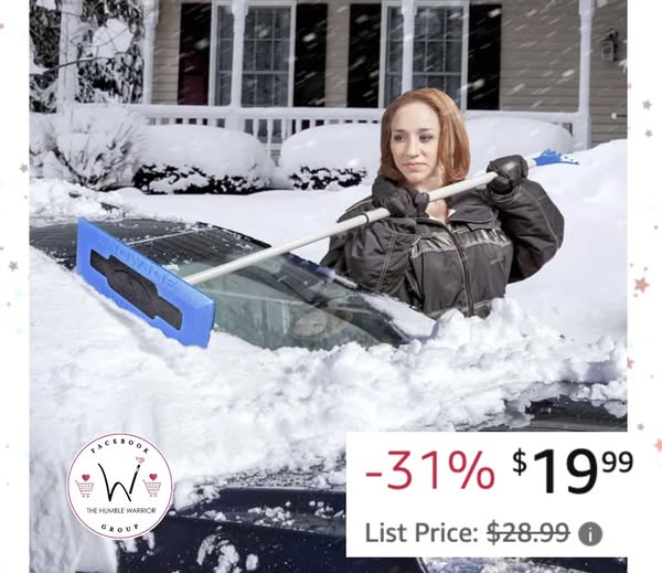 Snow Joe Windshield Ice Scraper!