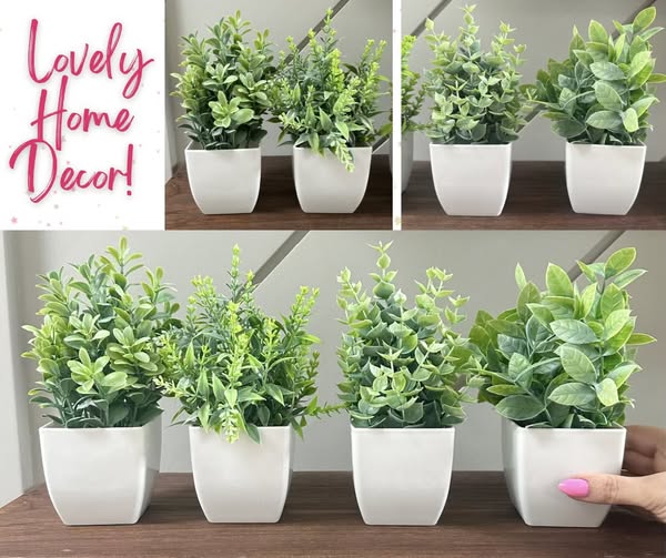 Der Rose faux succulents