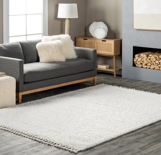 Neva Modern Tasseled Shag Area Rug