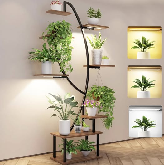 Plant lovers!