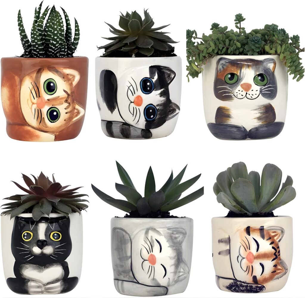 Set of 6 Mini Kitty Succulent Pots