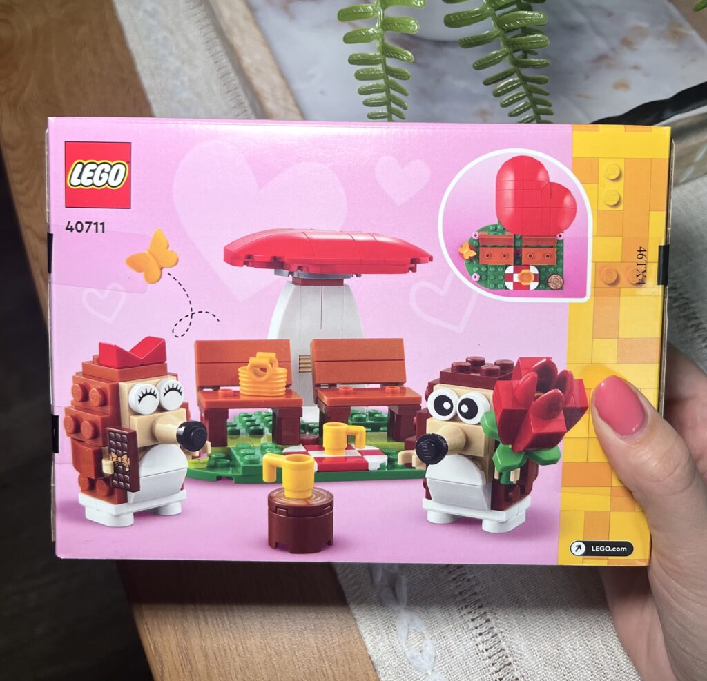 Lego Hedgehog Picnic Date!