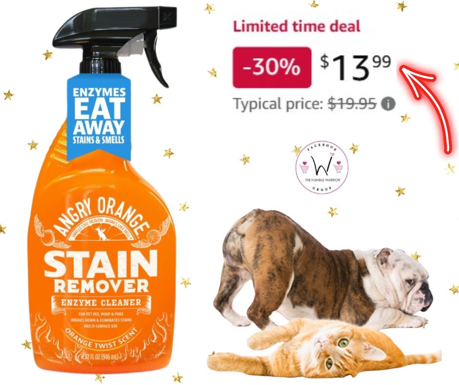 ANGRY ORANGE Enzyme Pet Stain Remover for Urine and Stains!