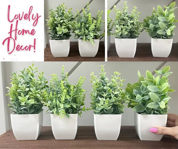 Der Rose faux succulents
