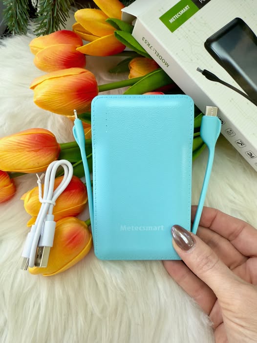 Portable Phone Charger