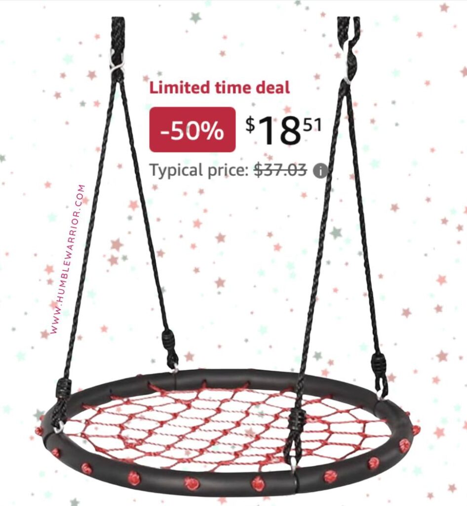 Disc Giant Nest Web Net Tree Swing