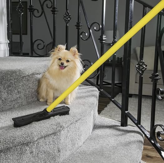 FURemover Original Pet Hair Rubber Broom