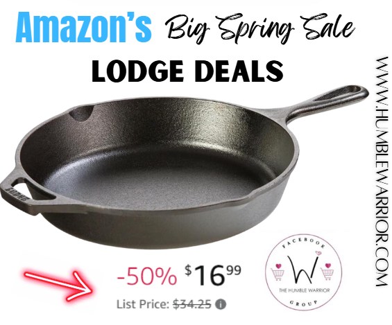 Lodge 10.25 Inch Cast Iron Pre-Seasoned Skillet