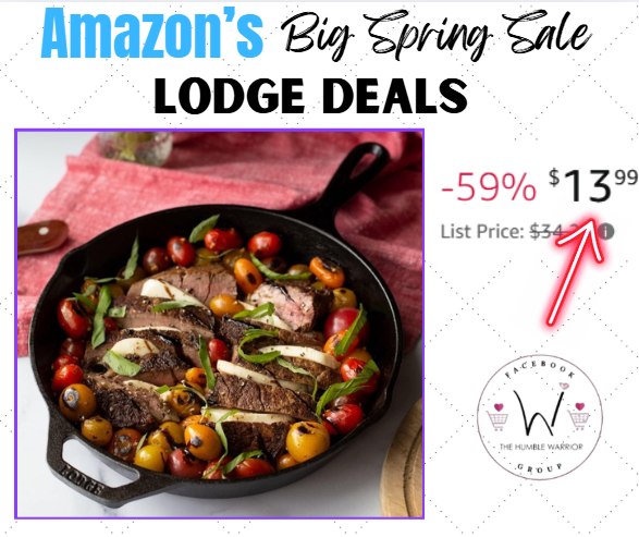 Lodge 10.25 Inch Cast Iron Pre-Seasoned Skillet