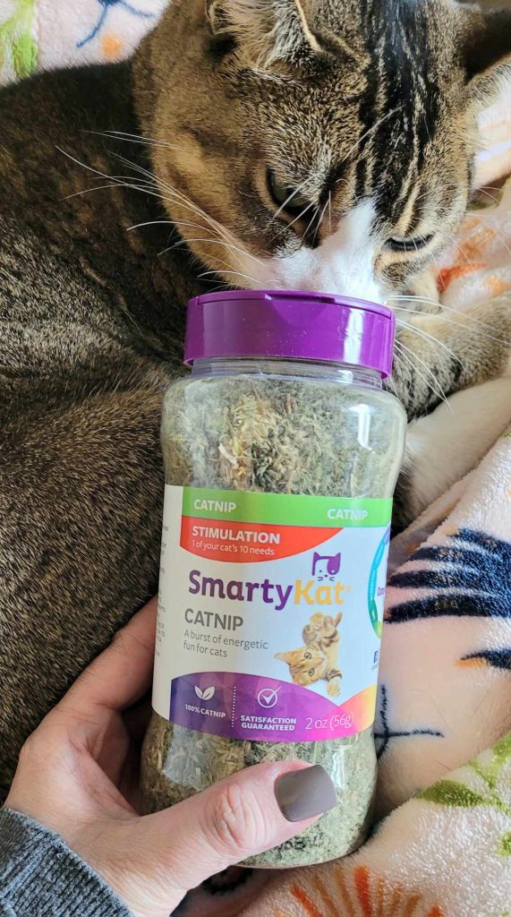 SmartyKat Catnip