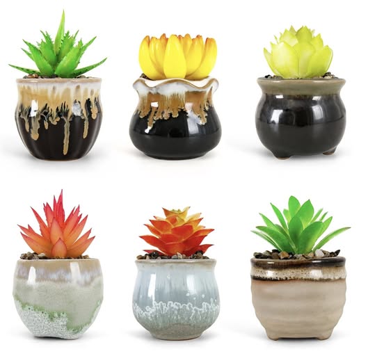 LOVOUS Set of 6 Mini Artificial Succulent Plants!