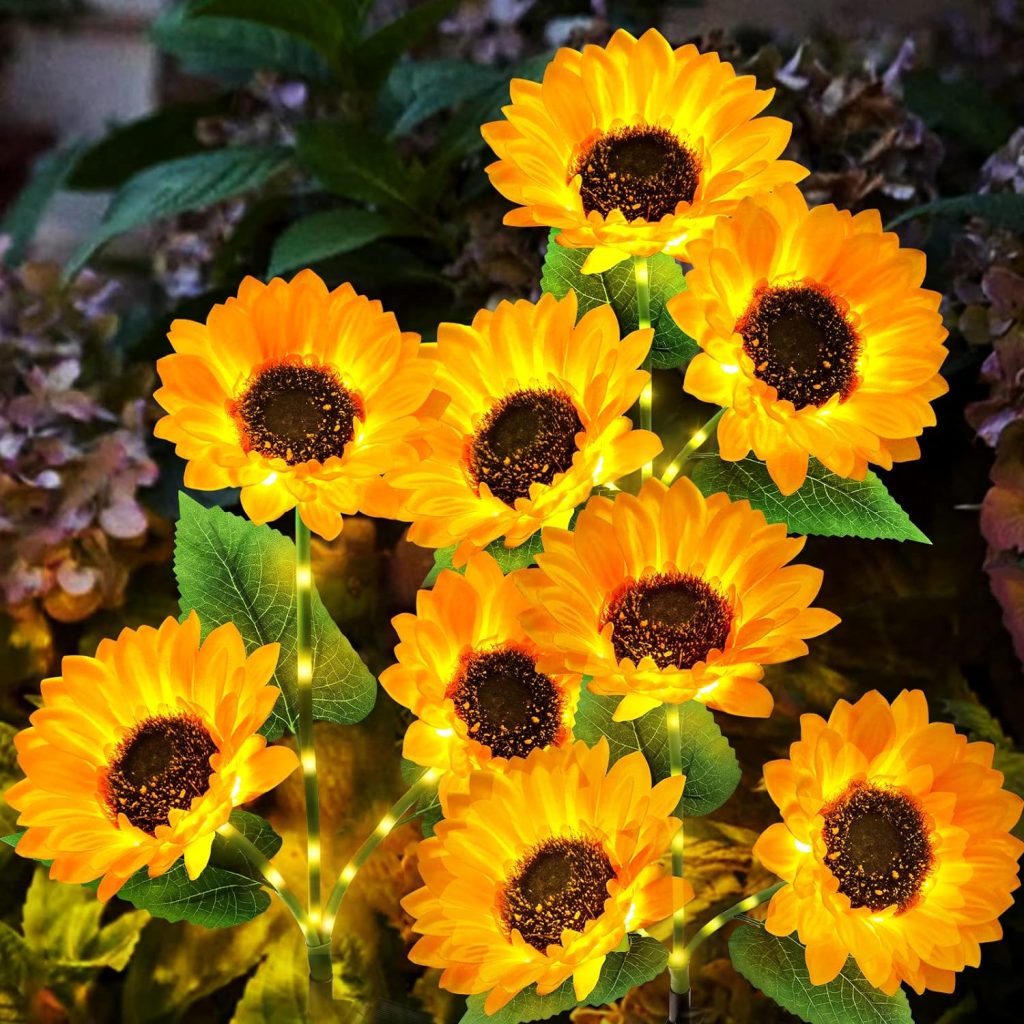 Kooper Solar Sunflowers!