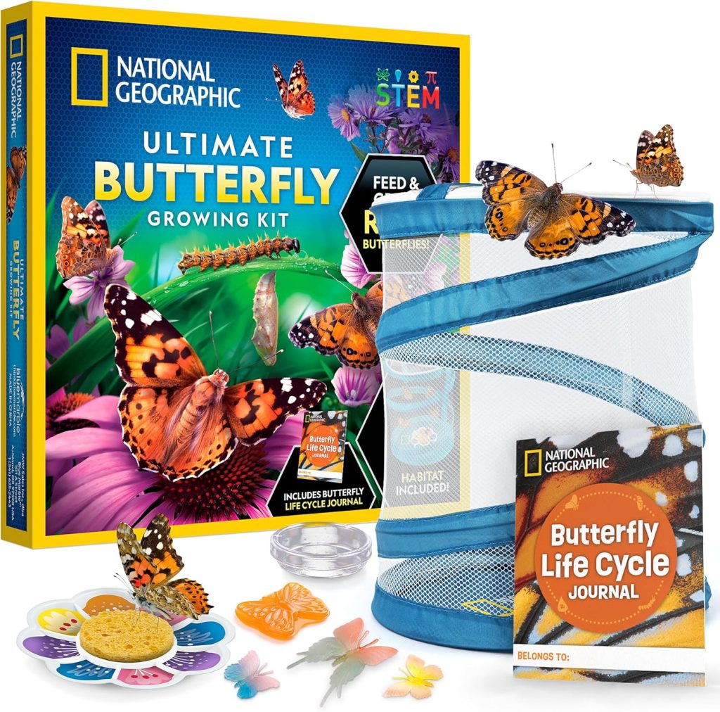 Butterfly Garden