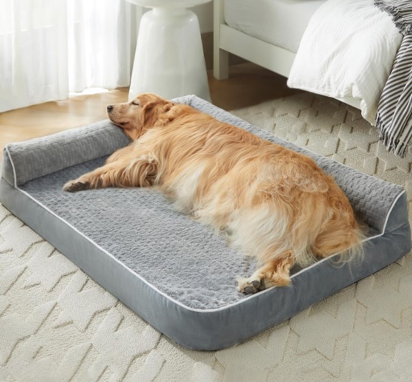 Orthopedic Dog Bed!
