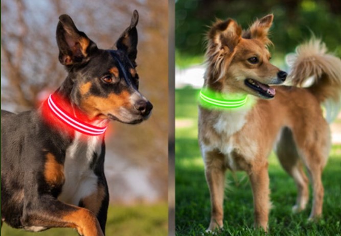 Rechargeable LED Dog Collar!